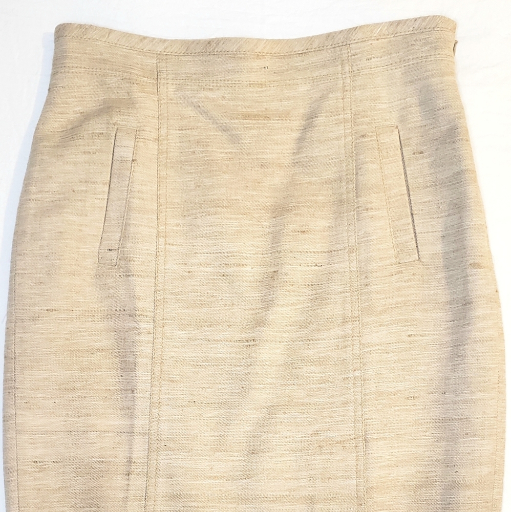 Ann Taylor skirt